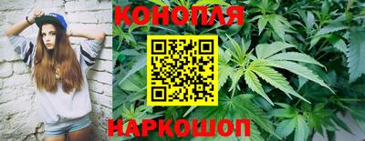гидра Коммунар
