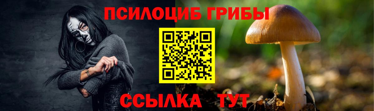 Галлюциногенные грибы GOLDEN TEACHER  Псилоцибиновые грибы Cubensis  Вход с VPN  Качканар 